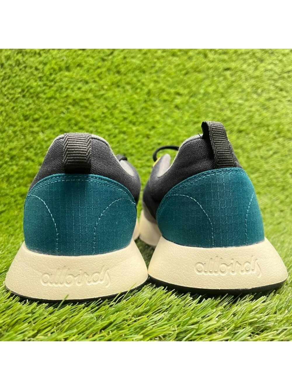 allbirds please review